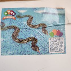 Inflatable Snake Decorations 