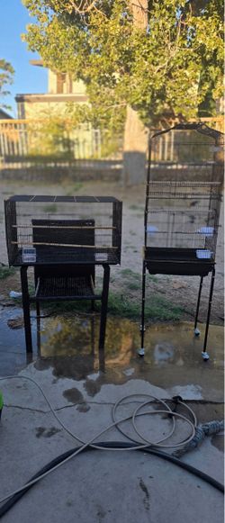 Bird Cage