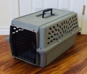 Dog Cat Pet Crate Carrier Kennel - Small