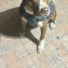 Duke