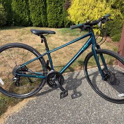 Giant ALIGHT Liv Bike