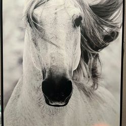 Black and white Horse Painting (large) - brand new 