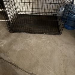 Dog Crate - Large