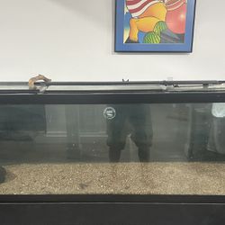 125 Gallon Fish Tank 