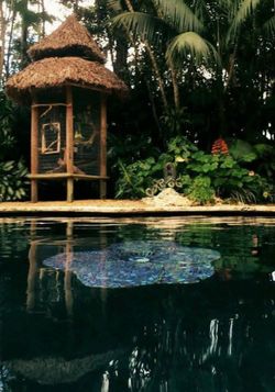 Tiki hut + Wood Deck, Bamboo