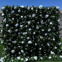 White Rose Flower Wall 