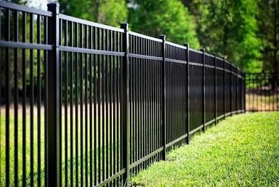 Fence 