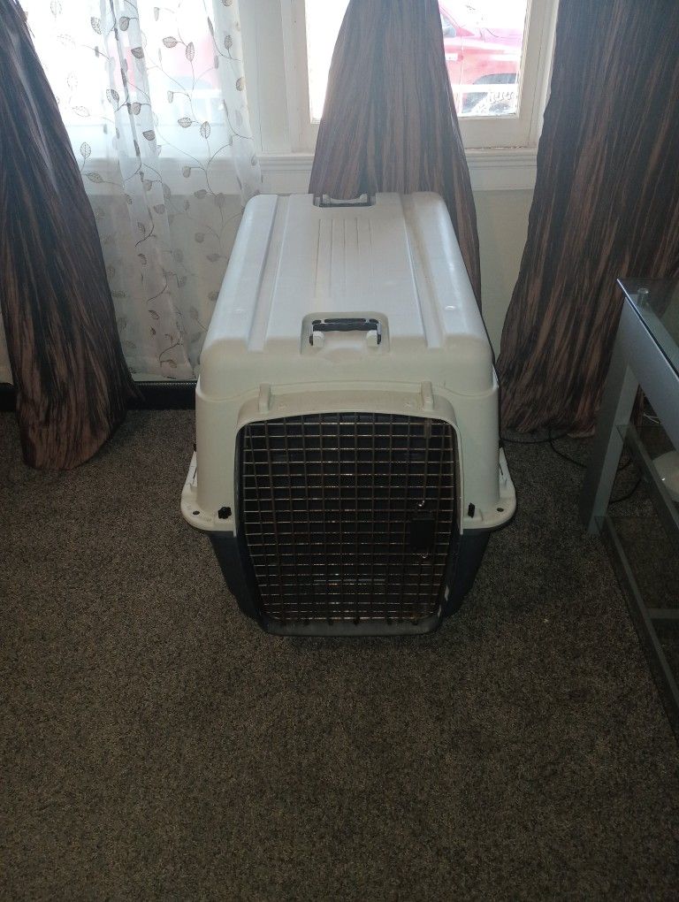 Free Large Dog Crate