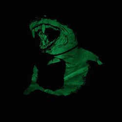 Halloween Shirt. Long Sleeve. Shark. Pumpkin Basket. Glow In The Dark. Tiburon. Camisa. Para Niños. Manga Larga. 