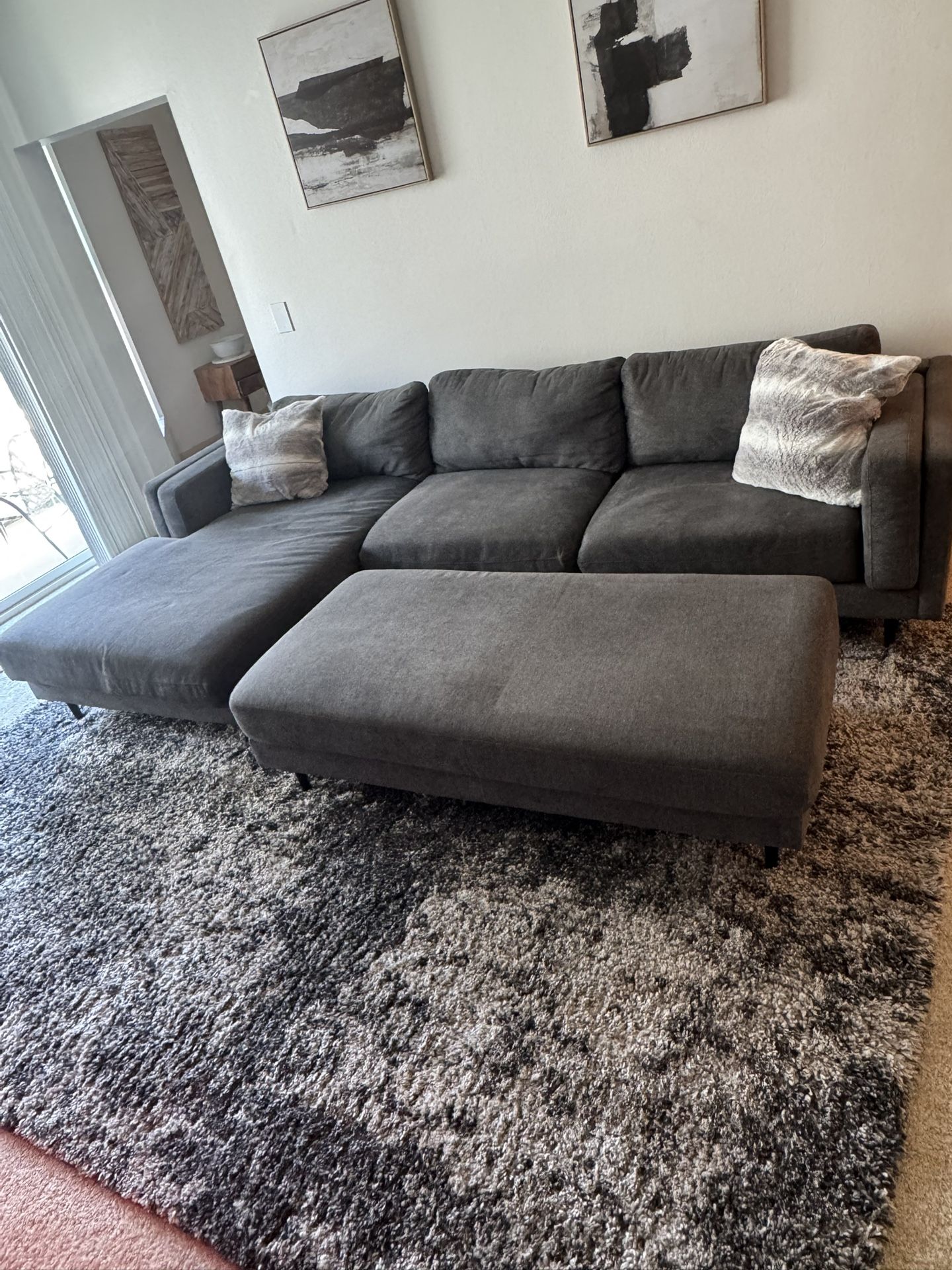 Couch And Carpet For Sale! $800