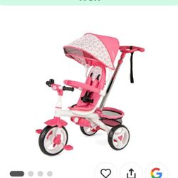 5-1 Stroller Tricycle 