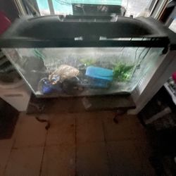 Free 30gallon Tank (as Is)