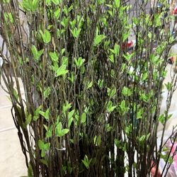 Decorative Large Greenery