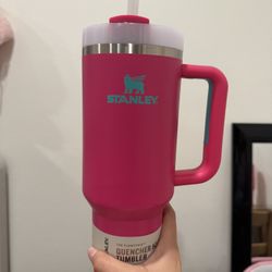 PINK STANLEY 