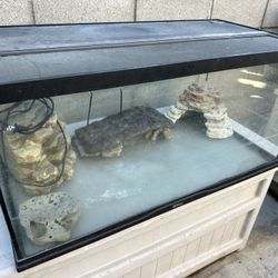 Fish/Turtle Tank With Accessories