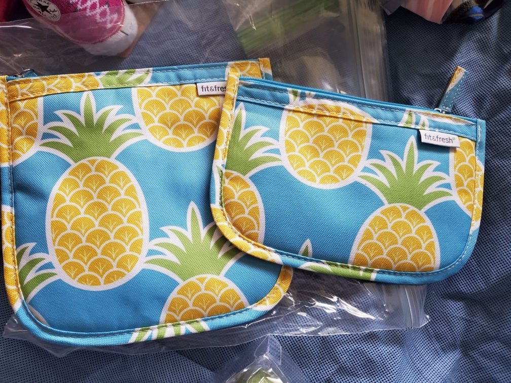 Two Lined Fit And Fresh Pouches, Like New, Zip