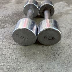 💪 8 LB Dumbbell Pair 💪