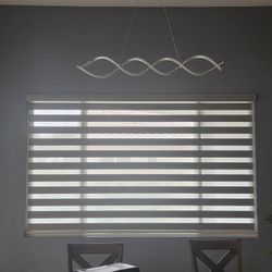 Zebra Shades