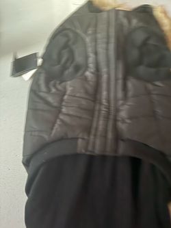 Dog Winter Jacket