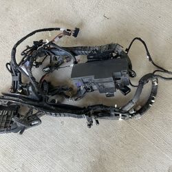 Ford Transmission Wiring Harness