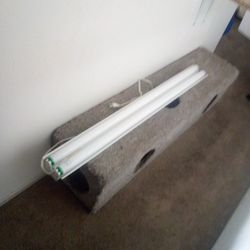 48" Fluorescent Light 