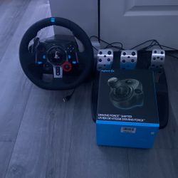 G29 Logitech Driving Set Up 