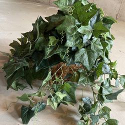 Hanging Basket