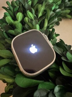 Apple Watch Ultra 49mm Titanium