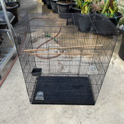Bird Cage 
