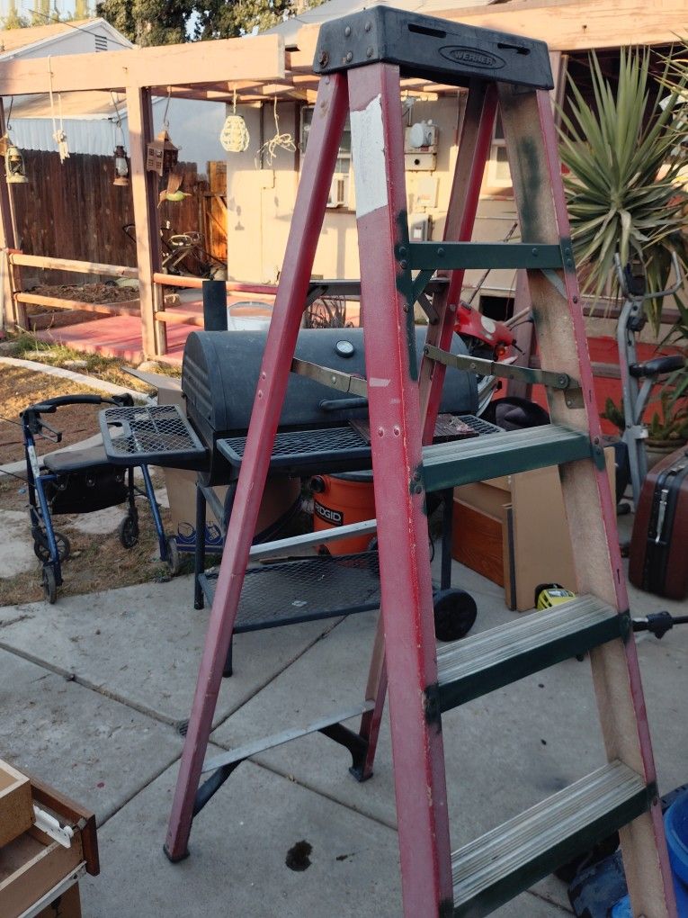 Werner 6' Ladder