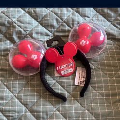 Disney Light up park ears
