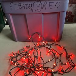 LED 100,  14 Strands Of Red Lights