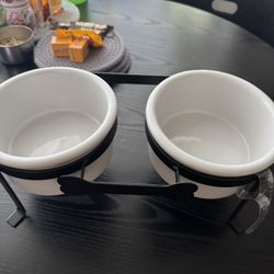 Dog Bowls 