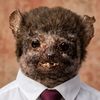 Señor G
