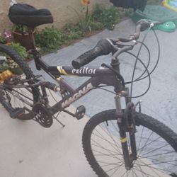 Mountain Bicycle 