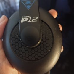 Turtle Beach P12