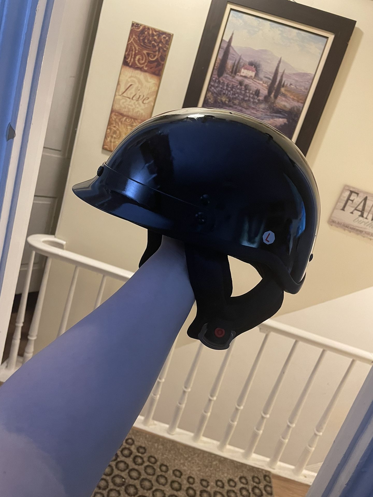 Biker Helmet