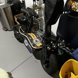 Electric Scooter 