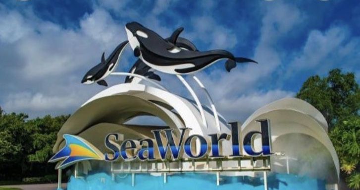 Quick Sale!!! 5 Seaworld Tickets  $115 For All (No Blackout Dates) 