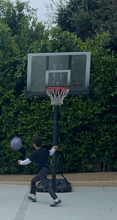 Lifetime Basketball Hoop