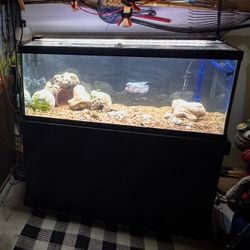 75 gallon aquarium/fish tank will include lids, stand and large sponge filter