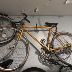 Vintage Schwinn Bike 