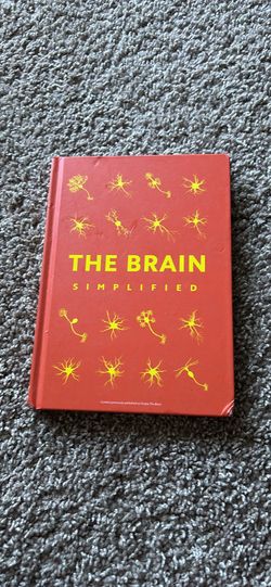 The brain simplified book