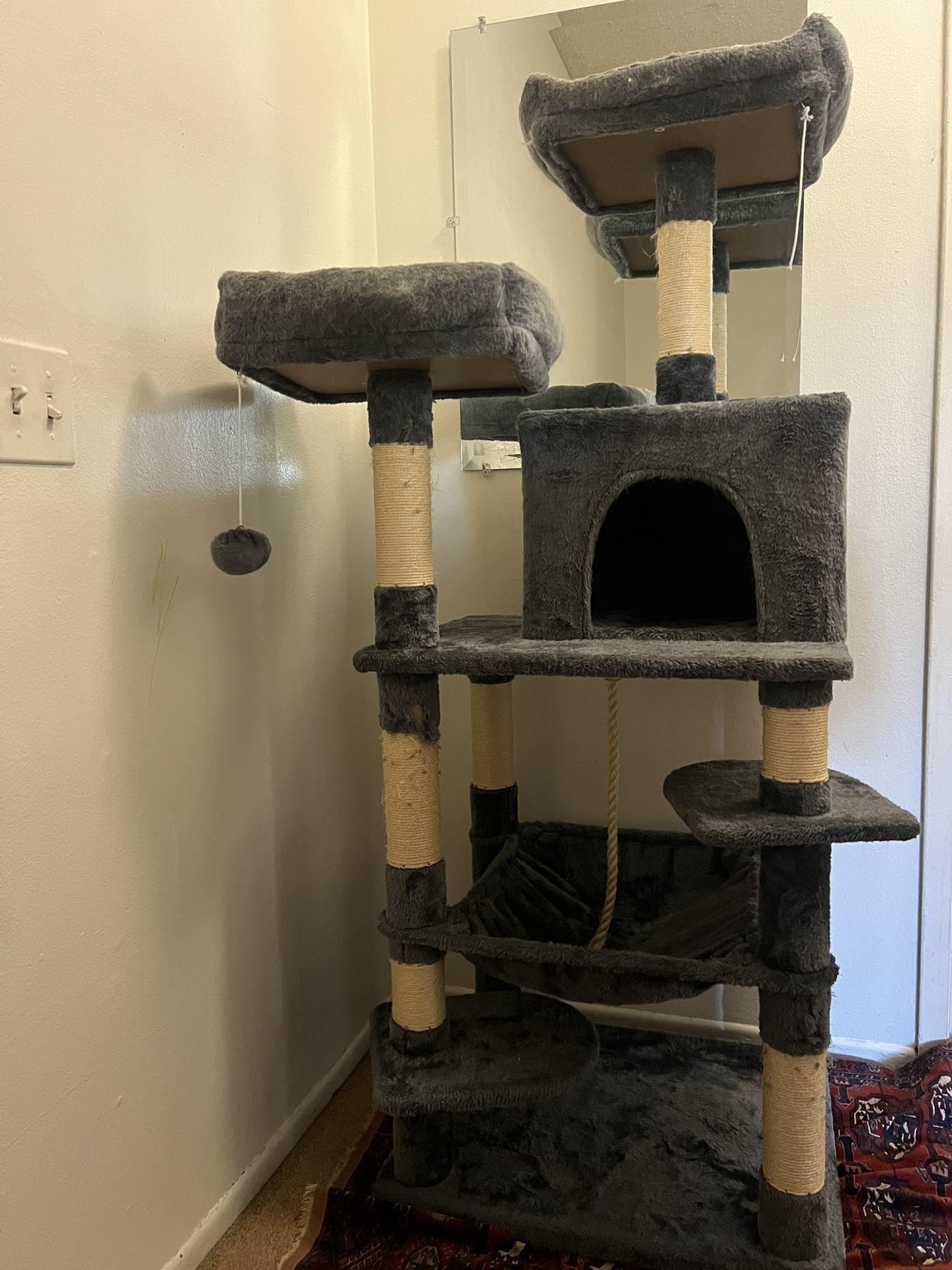 Cat House