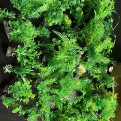 New Plastic Plants For Fish Tank Aquarium  Decoration Lots 