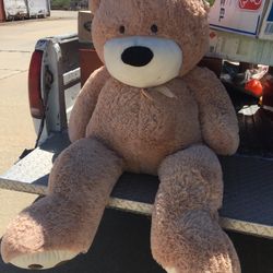 Adult Size Teddy Bear
