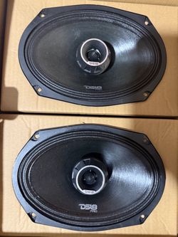 DS18 6x9 speakers