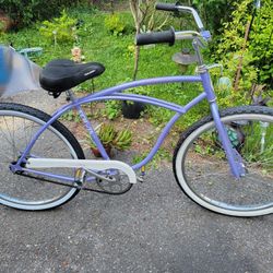 Original Schwinn Cruiser