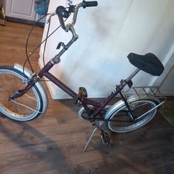 1960s Vintage Bike