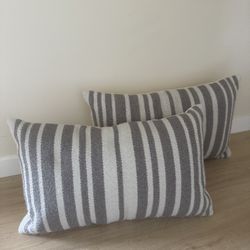 Pottery Barn Indoor/outdoor Decorative Pillows 